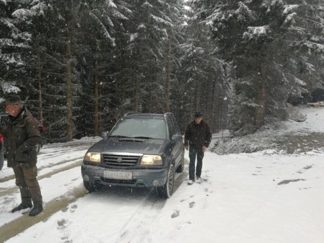 Bringtreueprüfung in Mürzzuschlag